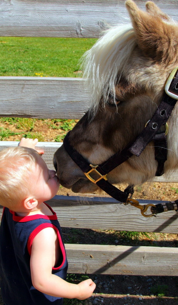 Ребенок целует лошадь