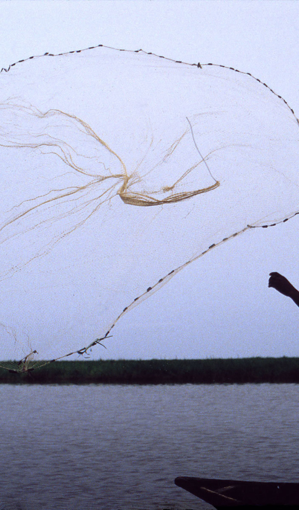 Мальчик забрасывает сеть