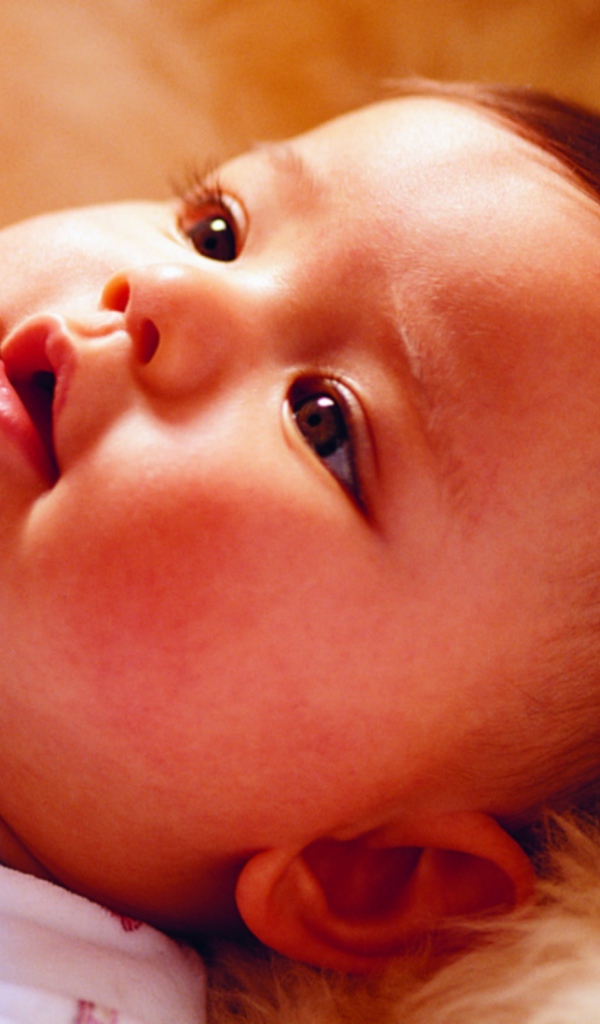 Красивый ребенок