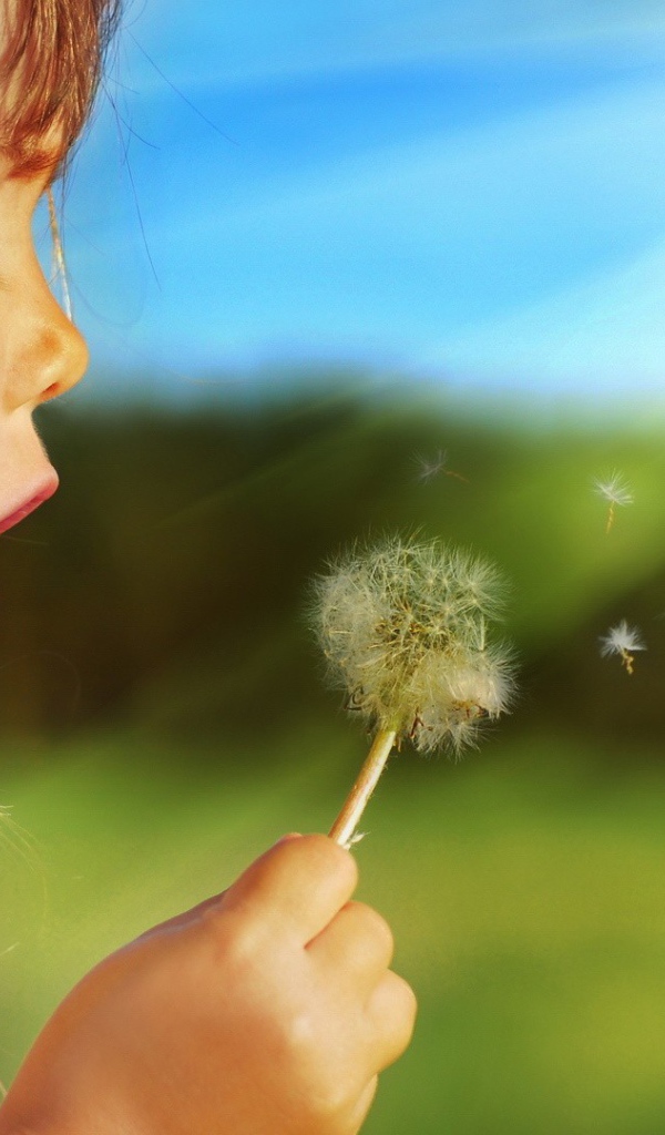 Девочка дует на одуванчик