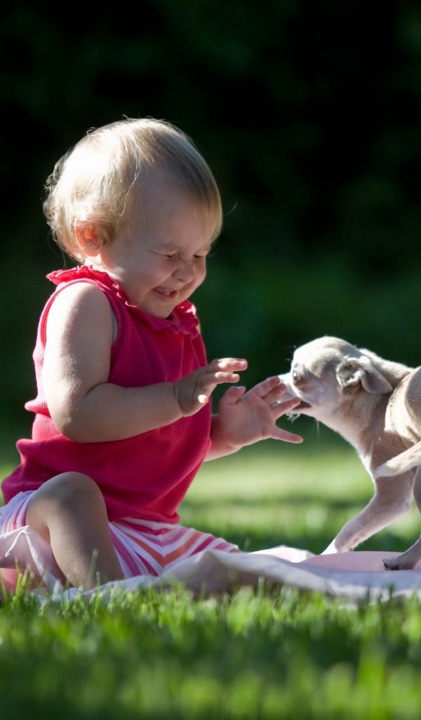 Ребенок играет с собакой