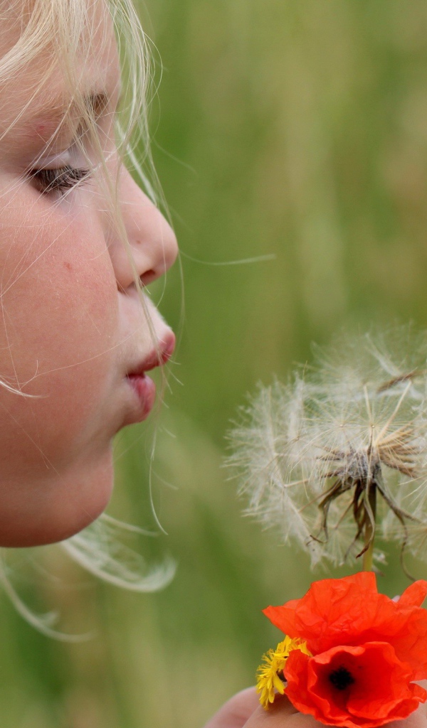 Девочка дует на цветок одуванчик
