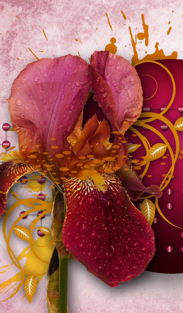 Абстракция с лепестками