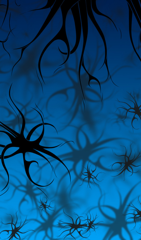 Черные узоры