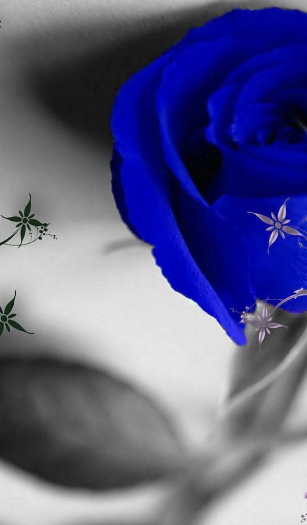Синяя роза и узоры