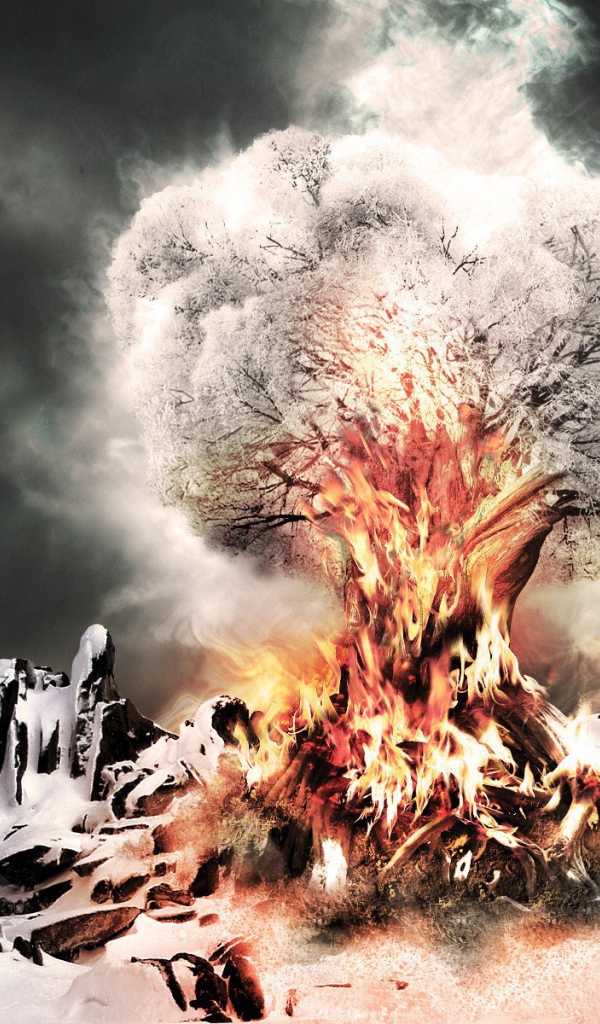 Горящее дерево