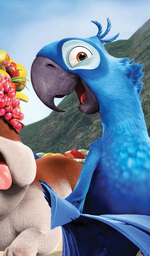 Собака и попугаи