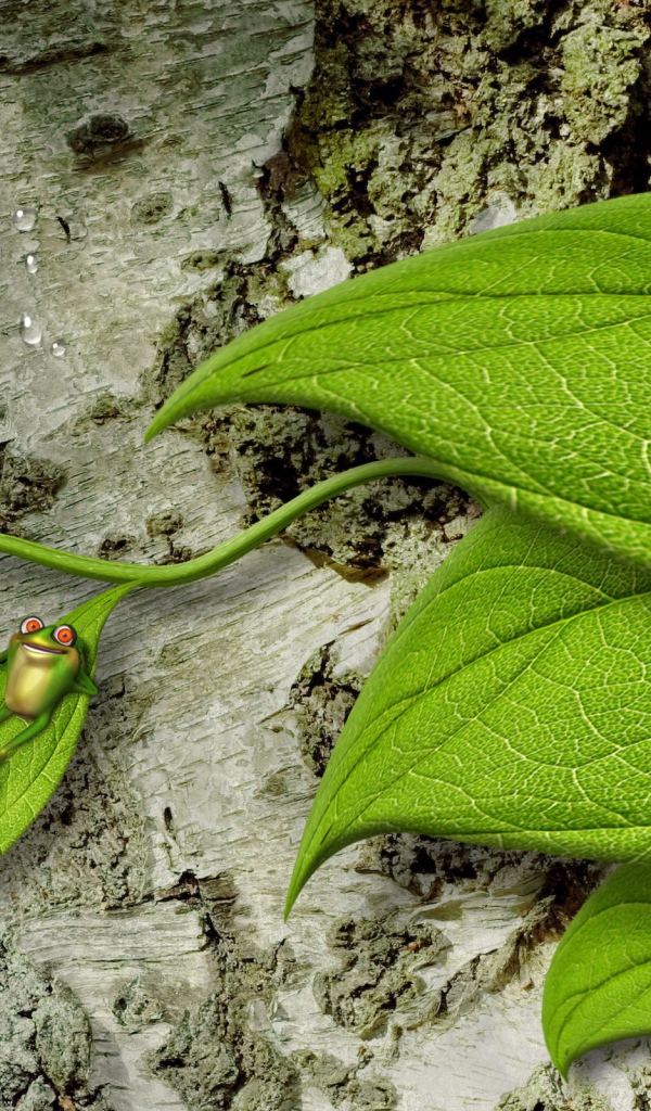 Лягушка на зеленом листе