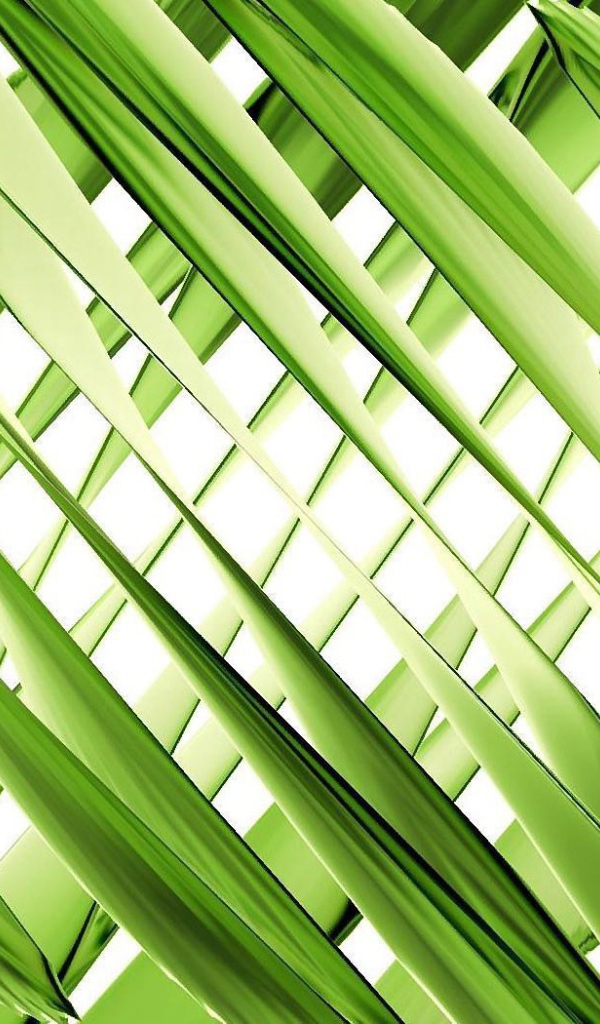 Зеленое переплетение