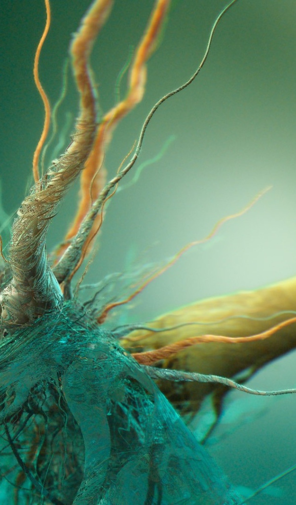 Сплетение корней