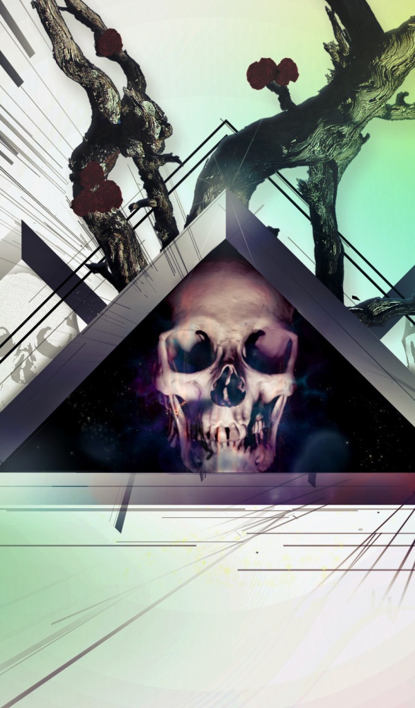 Череп в треугольнике