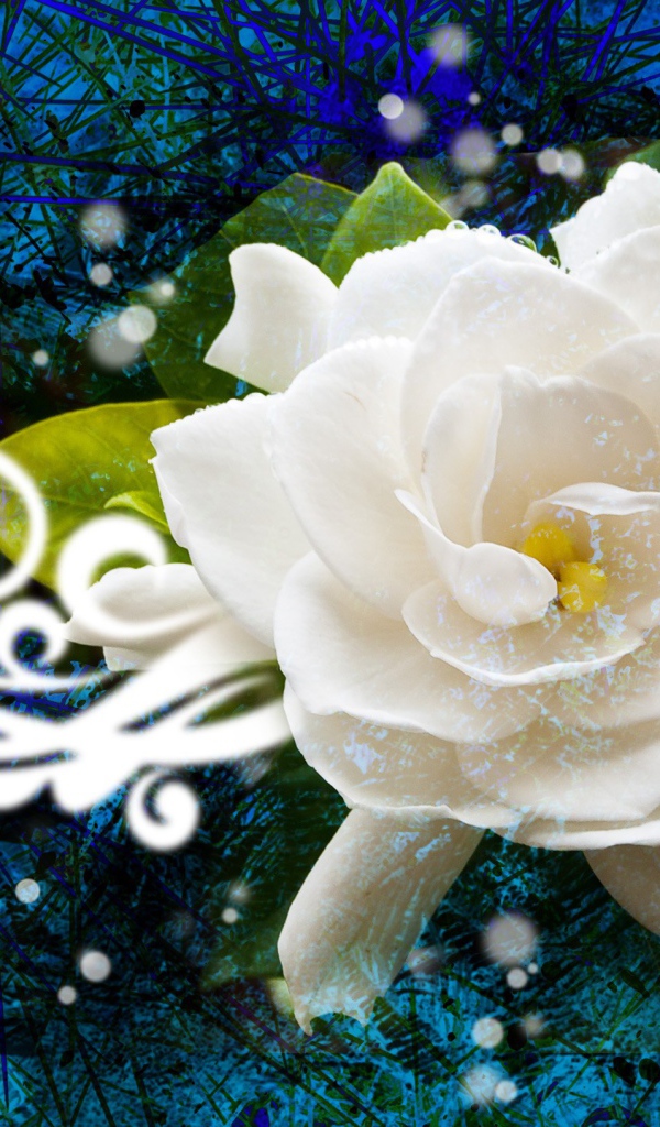 Абстракция с белой розой