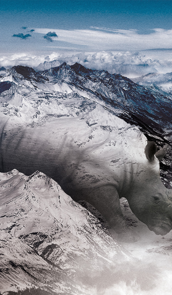 Носорог в горах