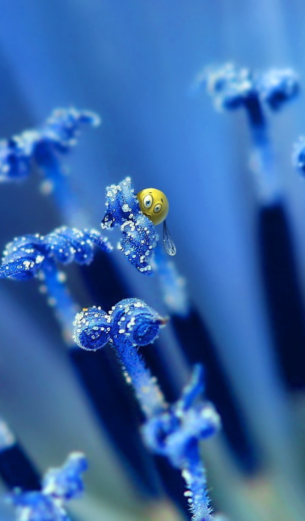 Абстрактные пчелы