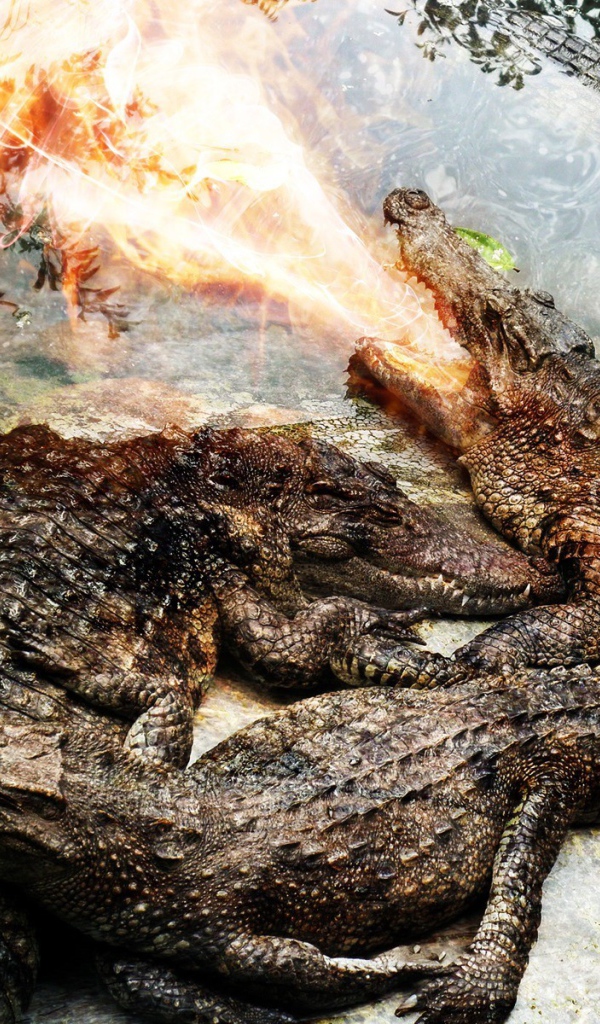 Крокодил изрыгает огонь
