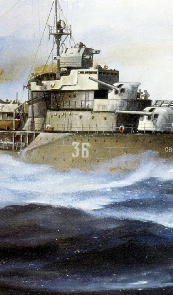 Корабль Свободный