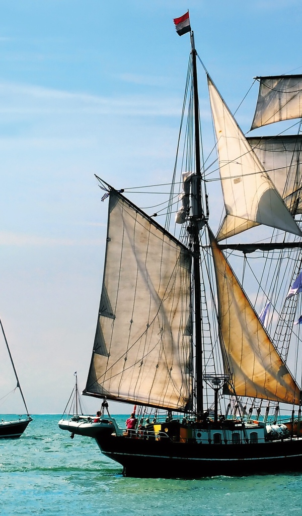 Плеяда парусников в море