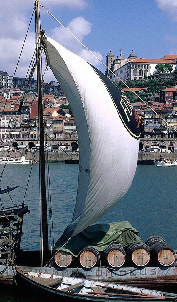 Парусная лодка на фоне города