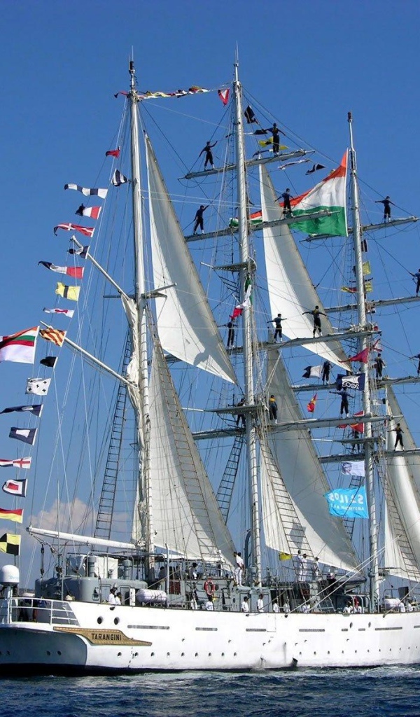 Парусник выходит в море