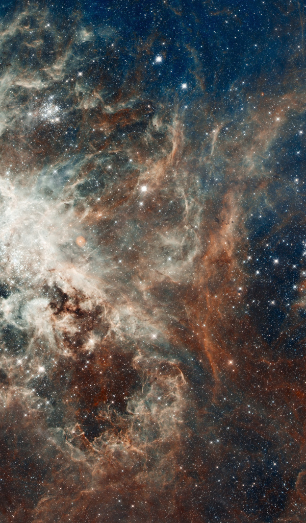 Созвездие Золотая рыба