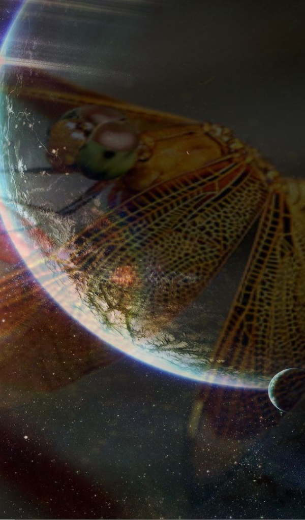 Стрекоза и космос