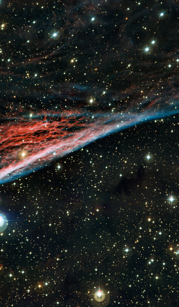 Большие яркие звезды