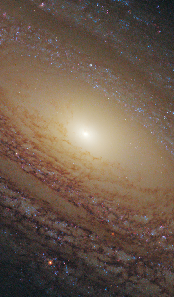 Спиральная галактика