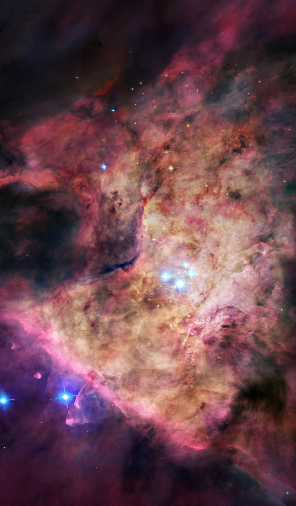 Созвездие Орион