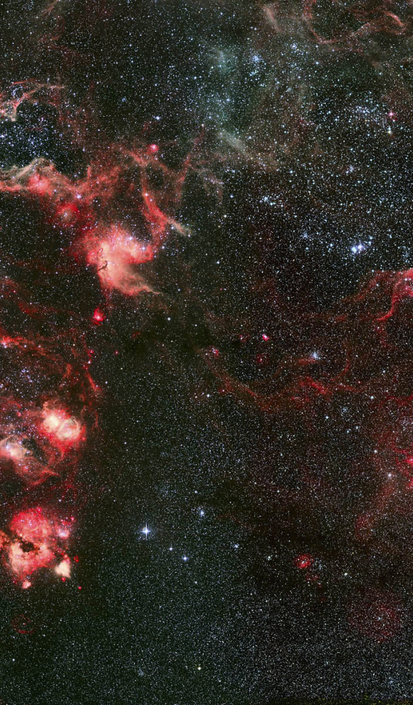 Туманность Тарантул