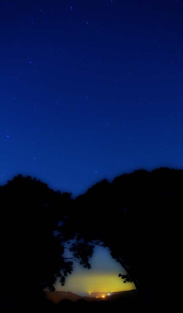 Созвездие Большая медведица