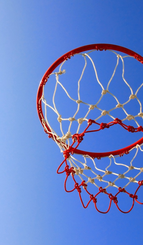Баскетбольная сеть