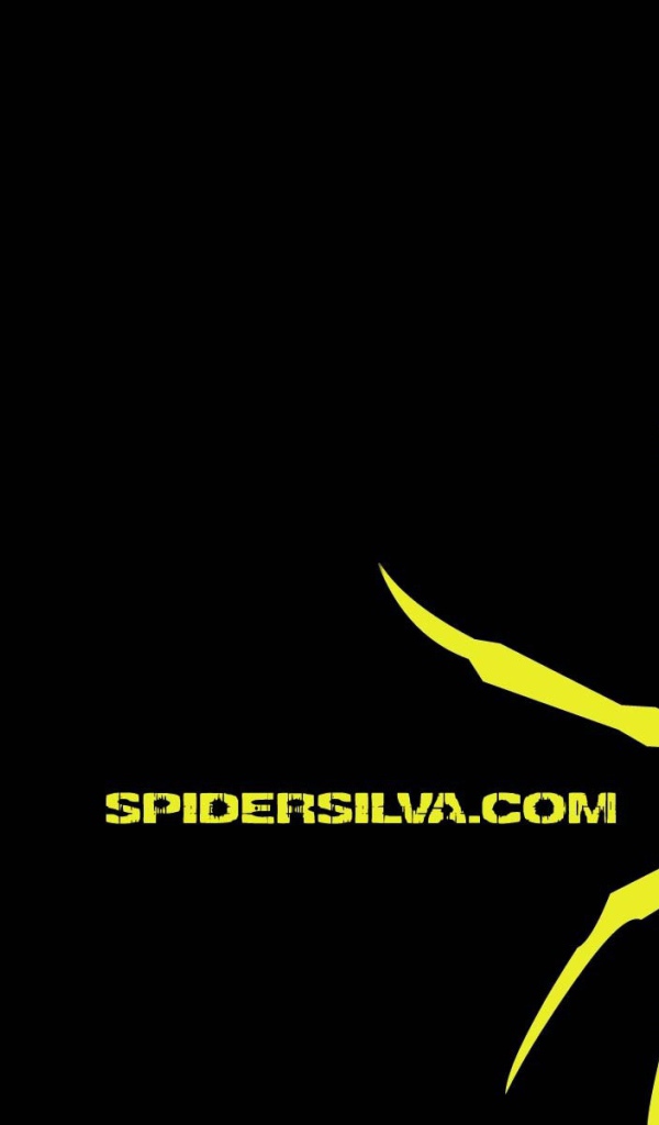 Опытный боец Андерсон Силва. Паук