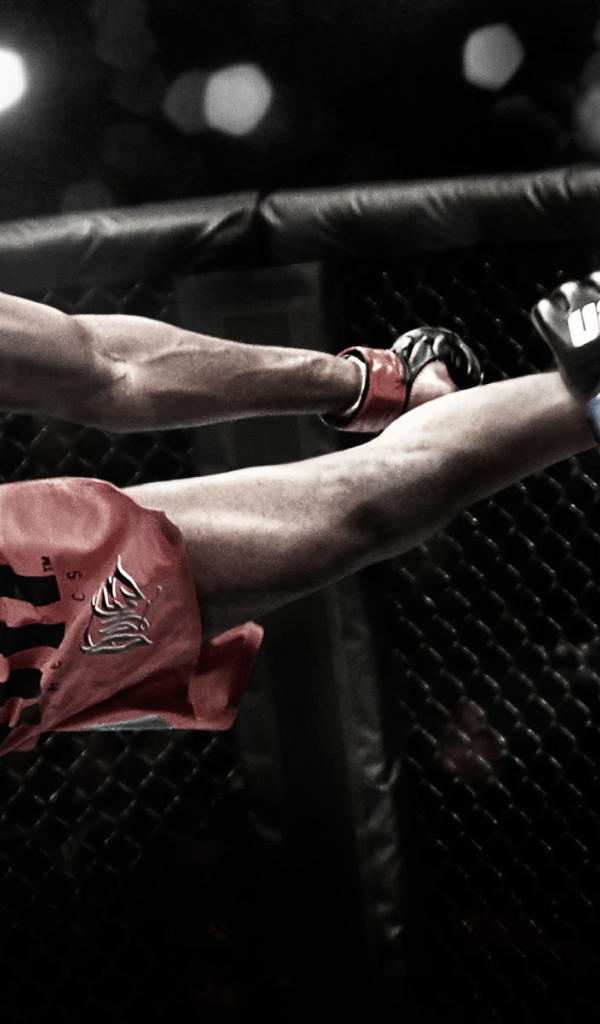 Известный боец Джон Джонс