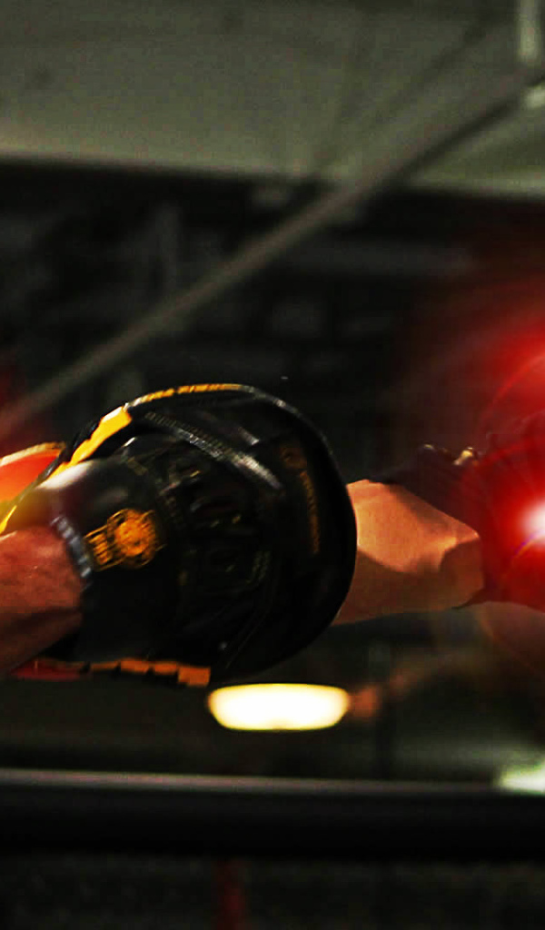 Боец Джуниор Дос Сантос