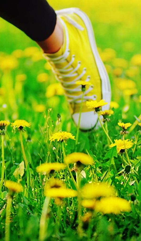 Пробежка в кедах по лугу