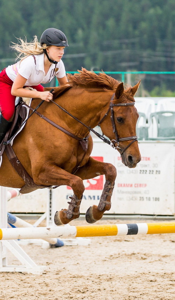 Прыжок в конном спорте