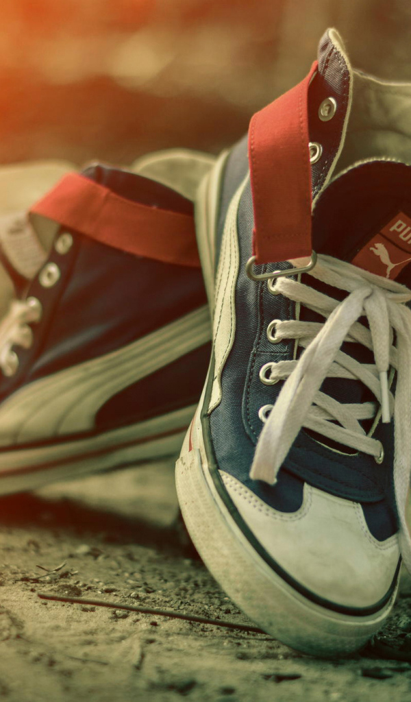 Пара красивых кед