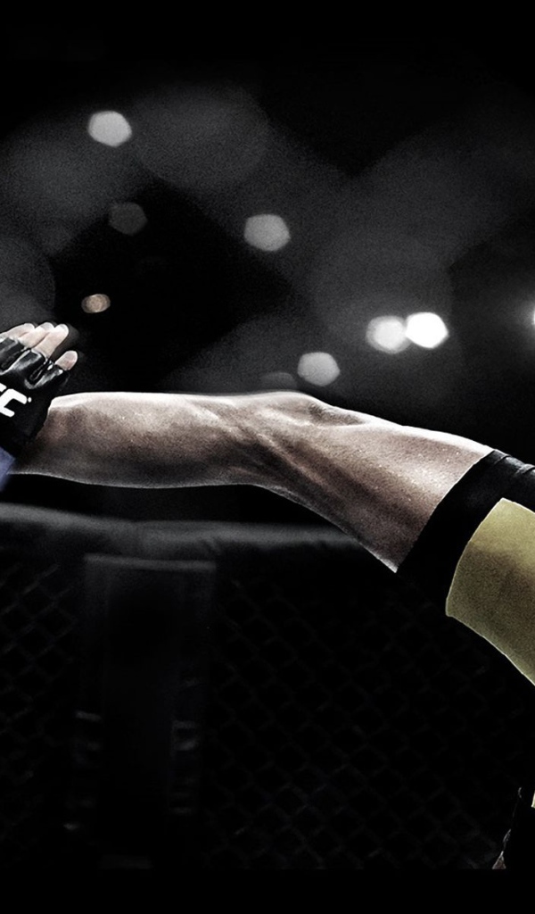 Популярный UFC боец Андерсон Силва. Паук