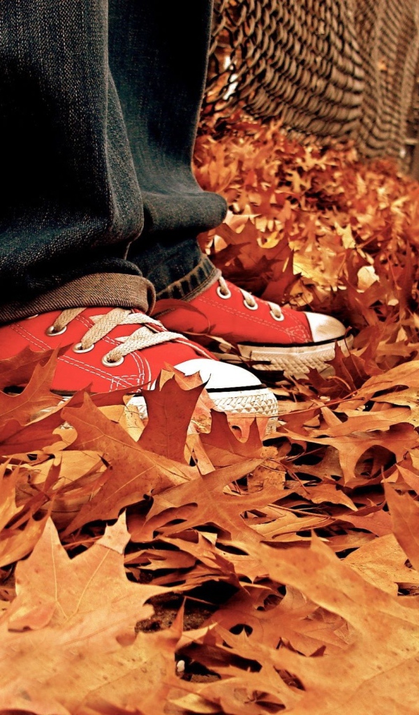 Кеды для осенней прогулки