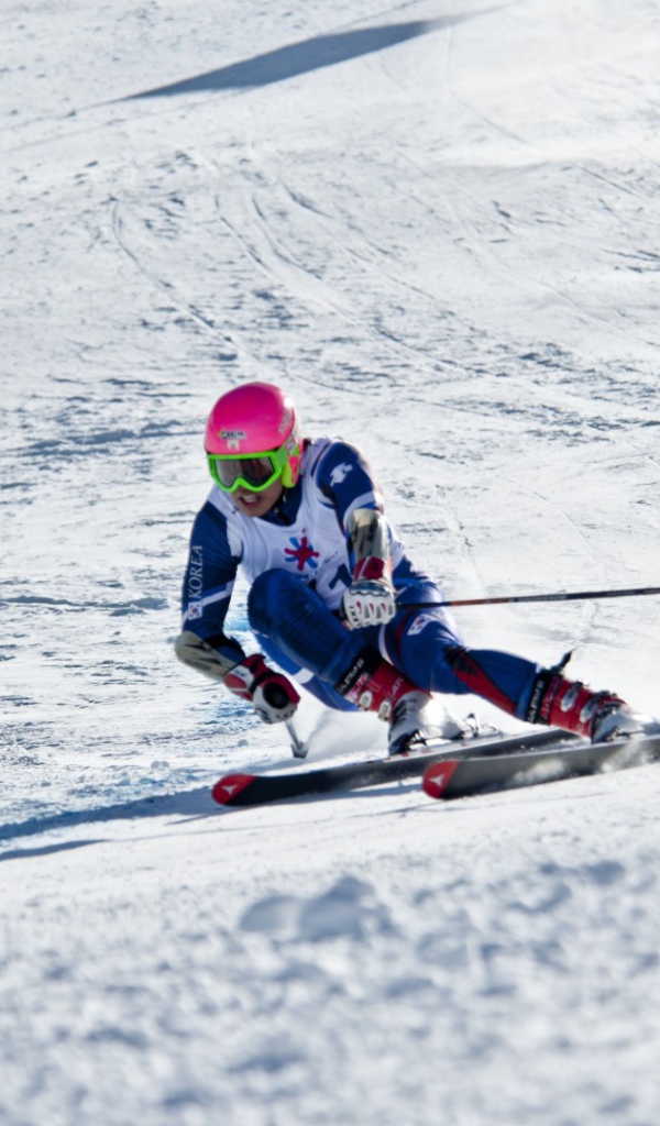 Катание на лыжах