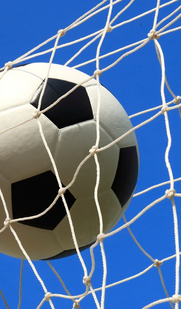 Футбольный мяч в сетке