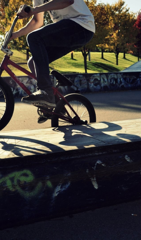 The cyclist in the skate Park