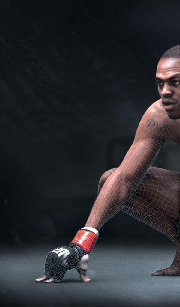 УФЦ  Боец Джон Джонс