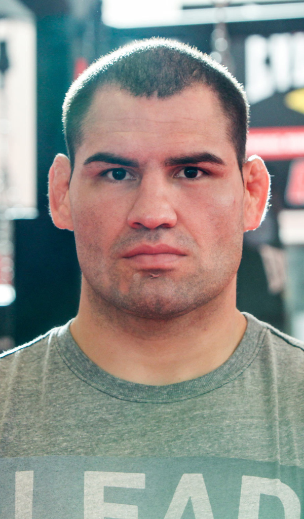 UFC Боец Джуниор Дос Сантос