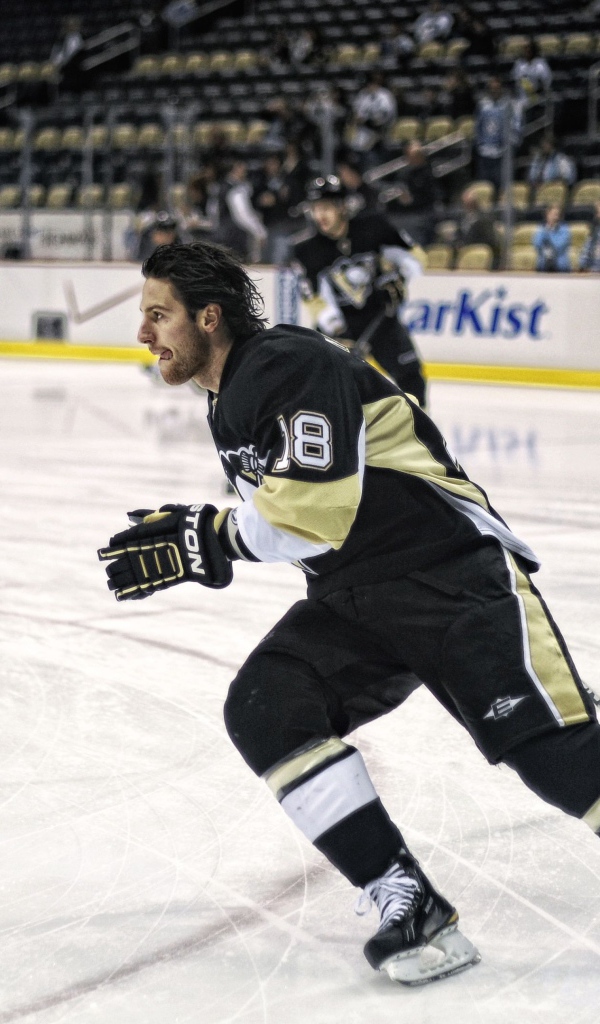 Известный Хоккеист Джеймс Нил