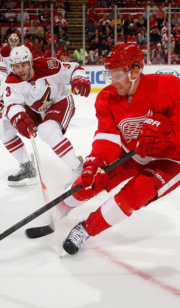 Известный Хоккеист Джером Игинла