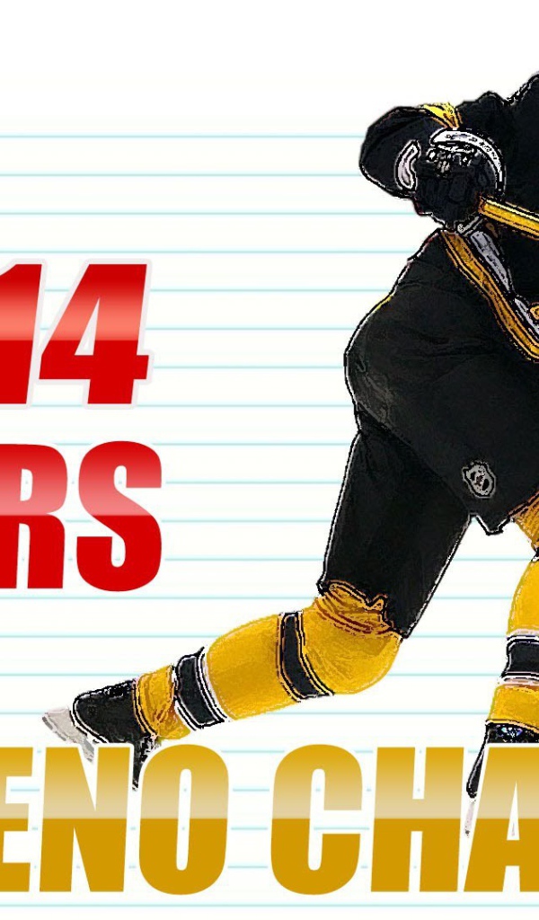 Хоккеист Бостона Здено Хара