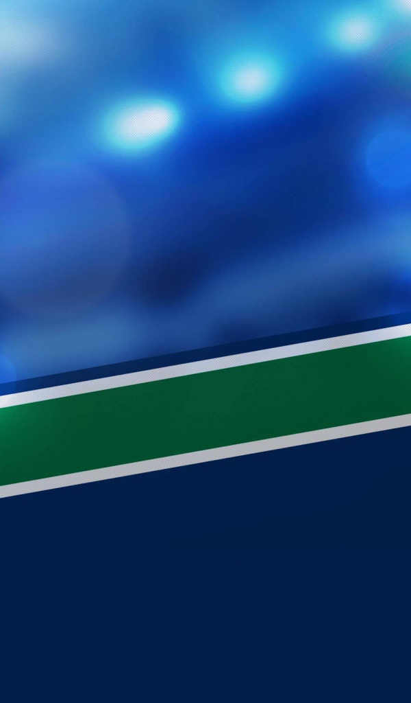 Хоккеист Хенрик Седин