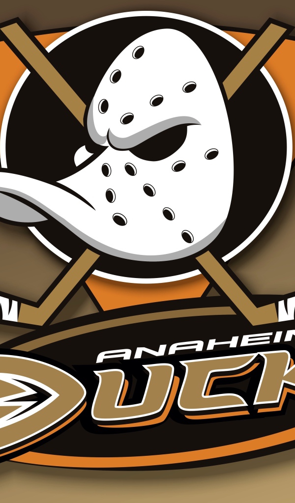 Хоккейная команда НХЛ