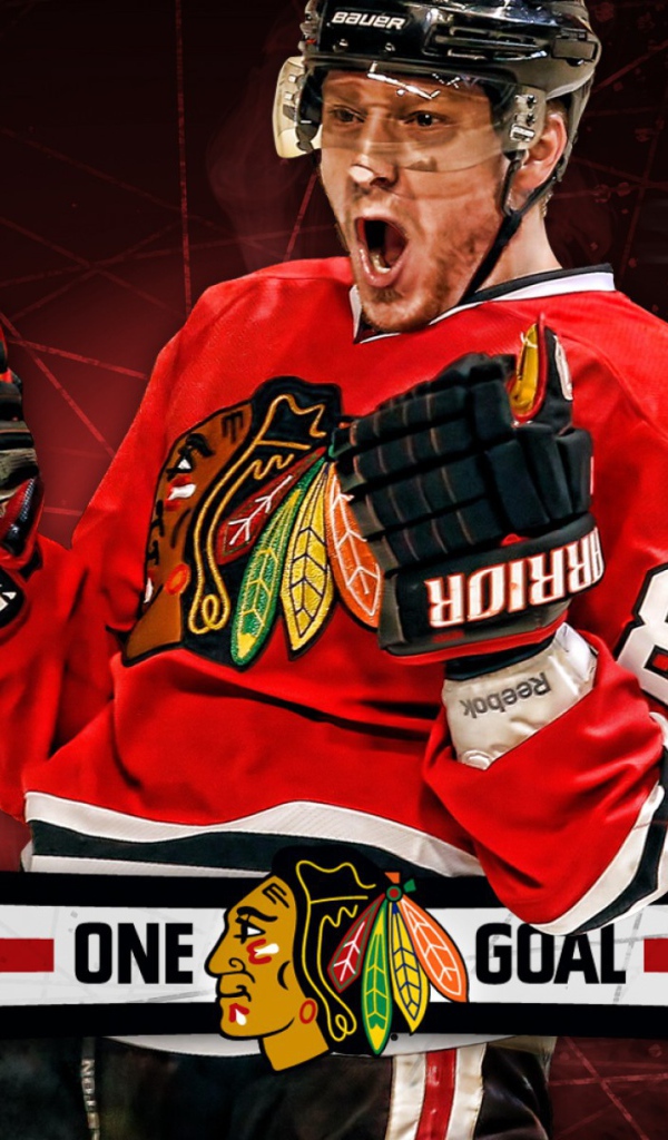 Игрок Мариан Хосса